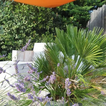 Apres La Sieste Couette-café 4*